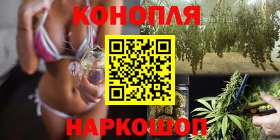 шишки Берёзовский