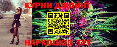 шишки Берёзовский