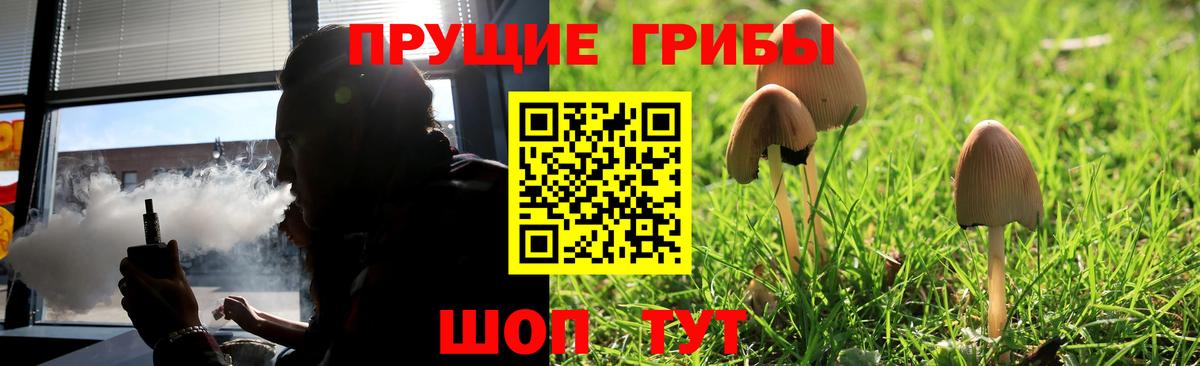 Галлюциногенные грибы ЛСД  Вход с VPN  Псилоцибиновые грибы мухоморы  Клинцы 